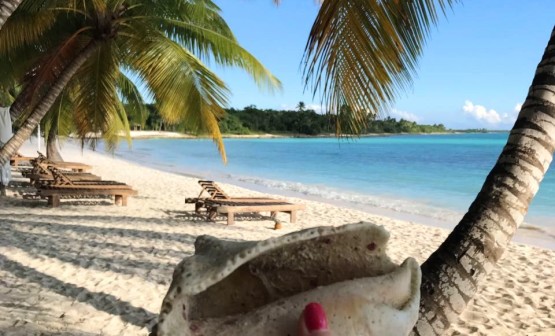 даритур днепр daritour dnepr dominicana punta cana 8