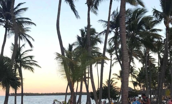 даритур днепр daritour dnepr dominicana punta cana 12